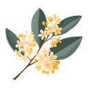 Osmanthus