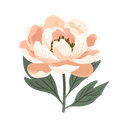 Peony