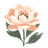 Peony