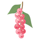 Pink Pepper