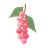 Pink Pepper