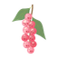 Pink Pepper
