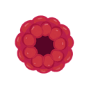 Raspberry