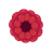 Raspberry