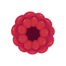 Raspberry