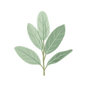 Clary Sage