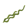 Seaweed