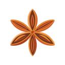 Star Anise