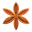 Star Anise