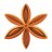 Star Anise