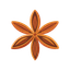 Star Anise