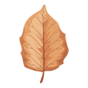 Tobacco