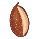 Tonka Bean