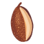 Tonka Bean