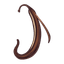 Madagascar Vanilla