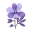 Violet