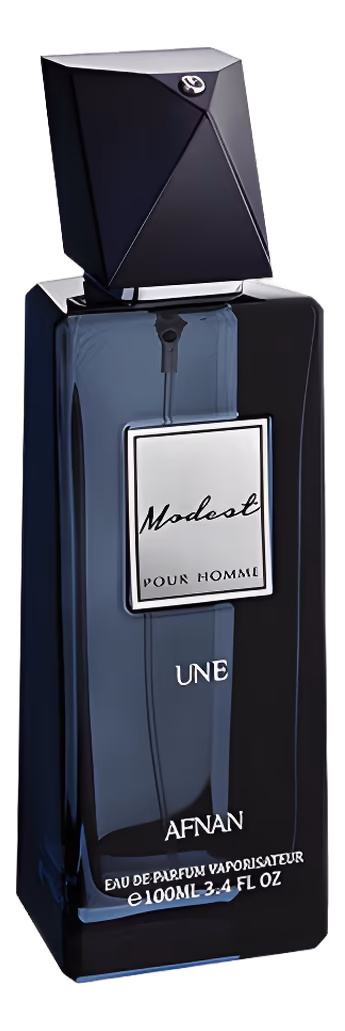 Modest Pour Homme Une