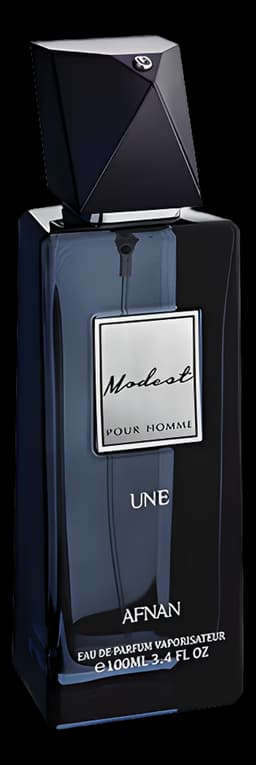 Modest Pour Homme Une