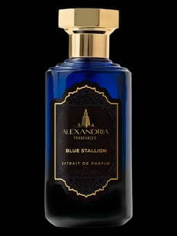 Blue Stallion