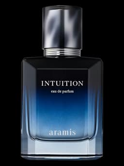 Intuition