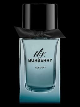Mr. Burberry Element
