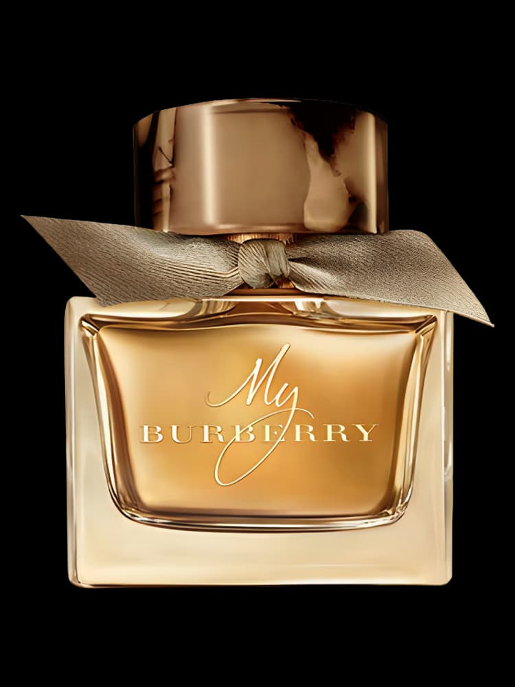My Burberry