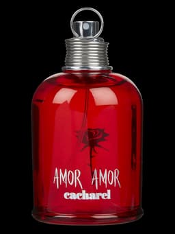 Amor Amor