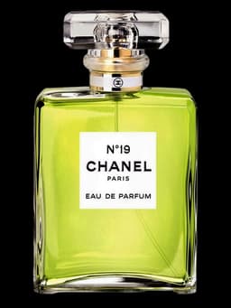 Chanel No 19 Eau de Parfum