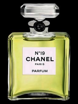 Chanel No 19 Parfum