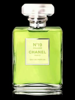 Chanel No 19 Poudre