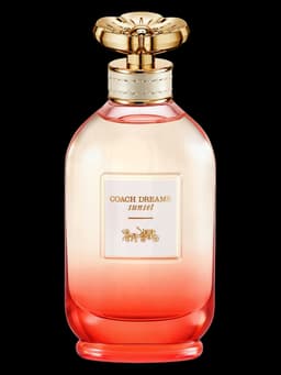 Coach Dreams Sunset