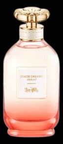 Coach Dreams Sunset