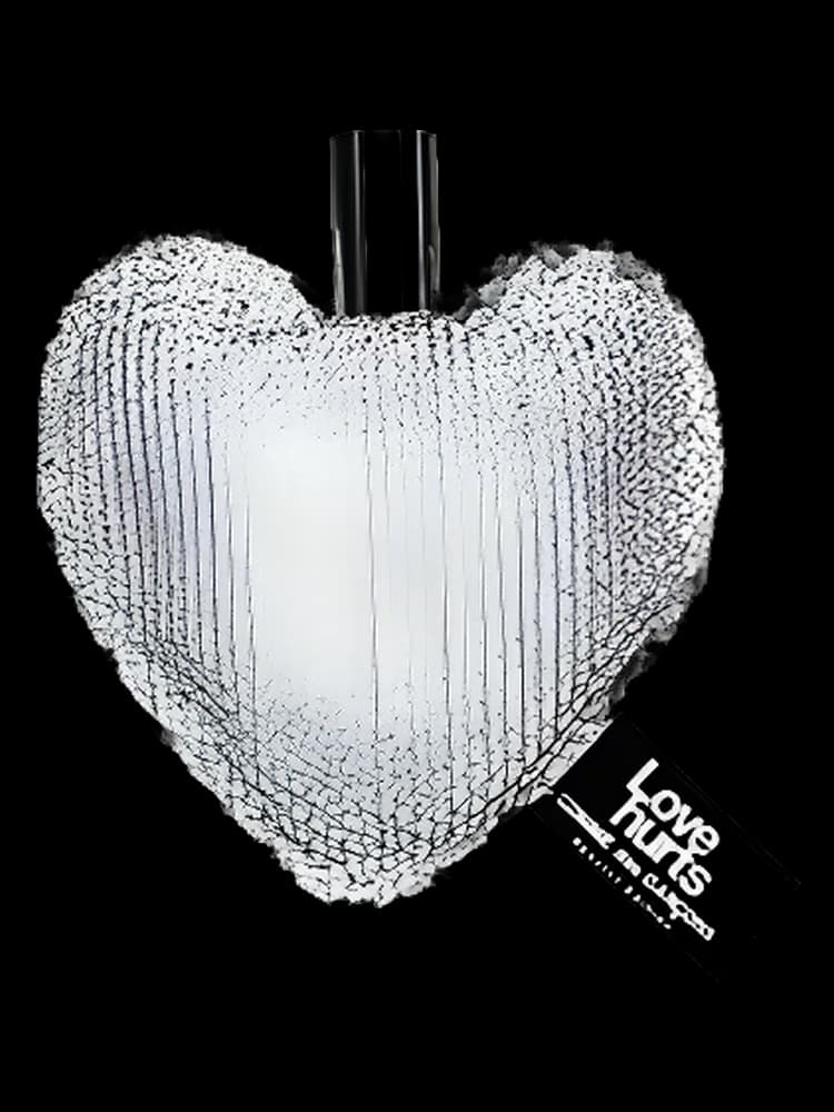 Comme des Garcons 2 Love Hurts