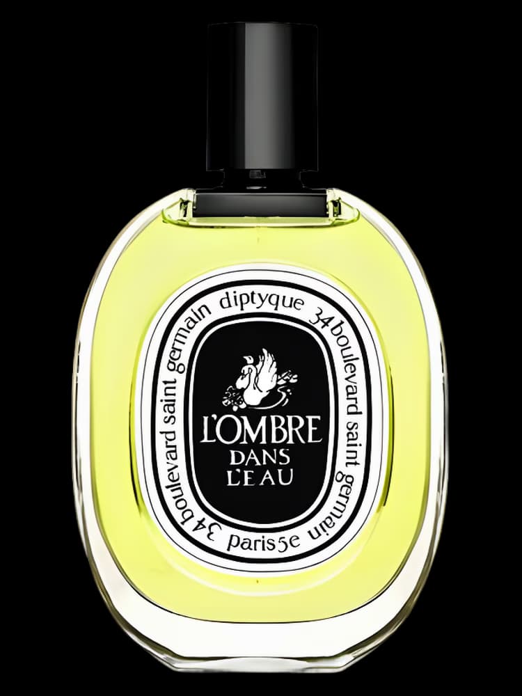 L'Ombre dans l'Eau