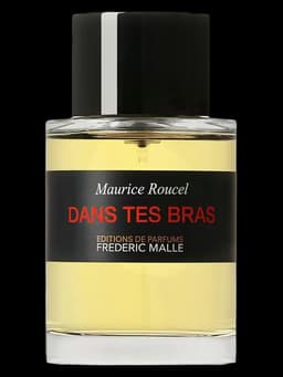Dans Tes Bras