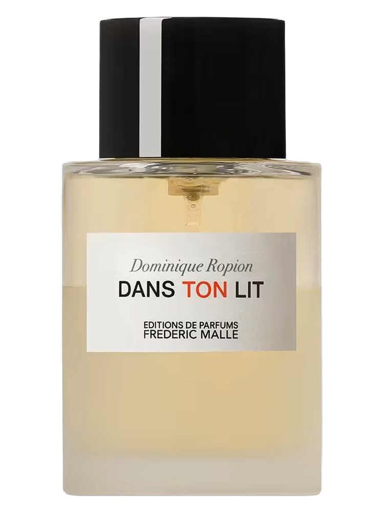 Dans Ton Lit