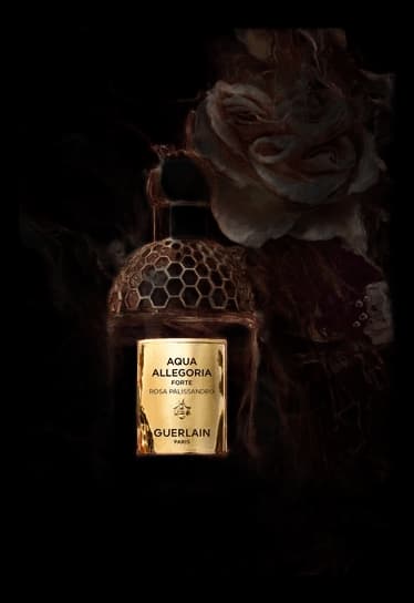 Aqua Allegoria Forte Rosa Palissandro