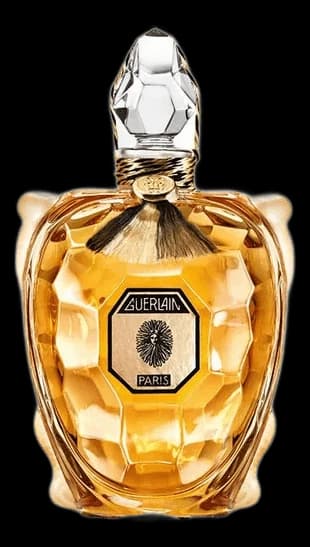 Flacon Tortue