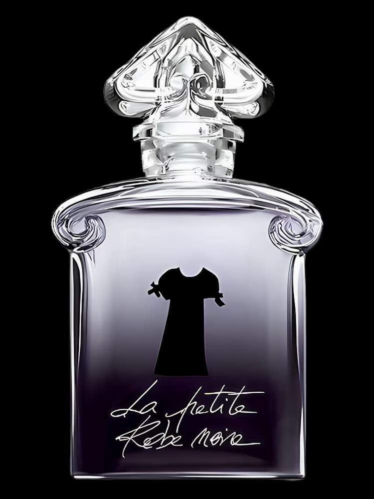 La Petite Robe Noire