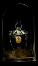 Le Parfum du 68 Extrait Le Passeur du Temps