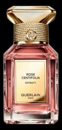 Rose Centifolia Extrait 1