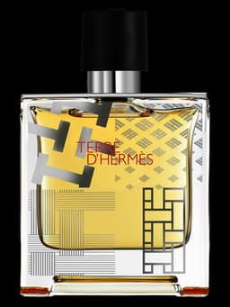Terre d'Hermes Flacon H 2016 Parfum
