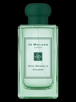 Star Magnolia Cologne (2019)
