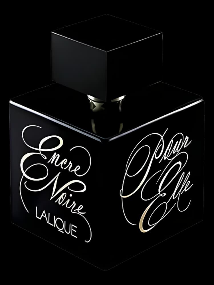 Encre Noire Pour Elle