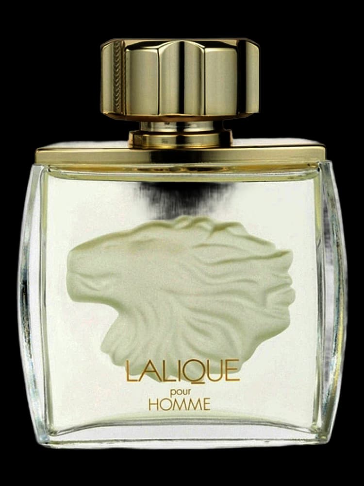 Lalique Pour Homme