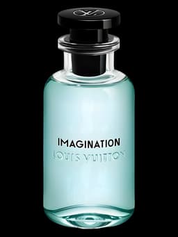 Louis Vuitton Imagination
