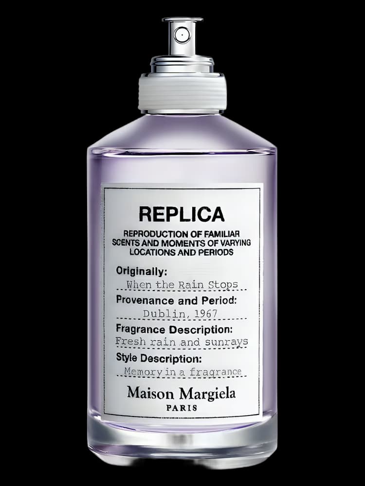 Replica When the Rain Stops