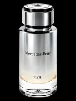 Mercedes-Benz Silver