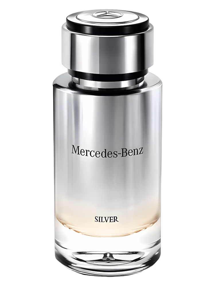 Mercedes-Benz Silver