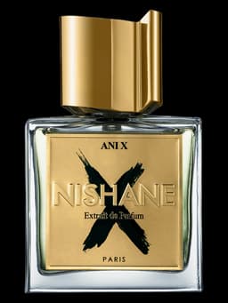 Ani X